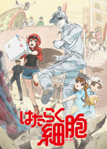 Hataraku Saibou